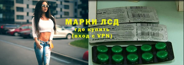 прущие грибы Абаза