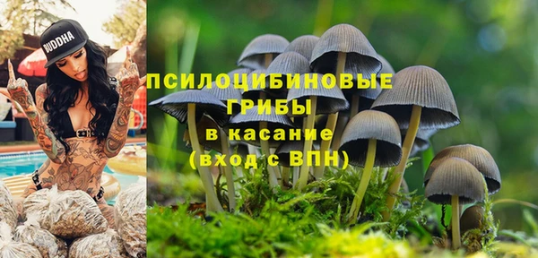 не бодяженный Медногорск