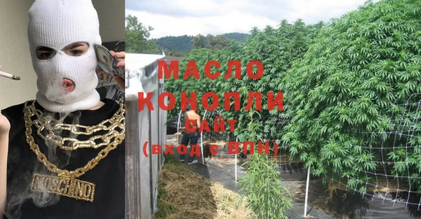 прущие грибы Абаза