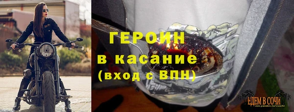 прущие грибы Абаза